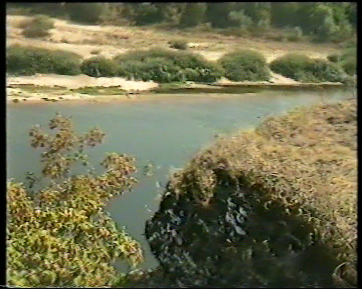 Галичья гора